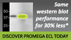 SG_WesternBlotting_140x80